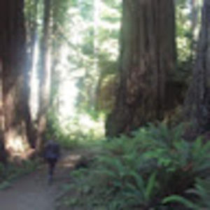 Meet your Posher, Anne